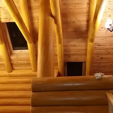 Pensiunea Izbucul Tauz Gasthof