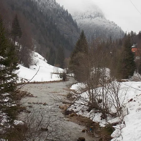 Gasthof Pensiunea Izbucul Tauz