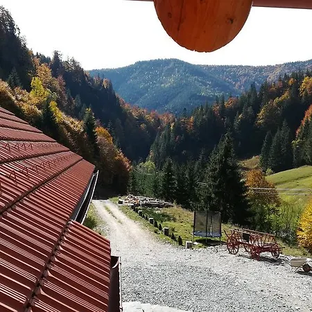Pensiunea Izbucul Tauz Gasthof