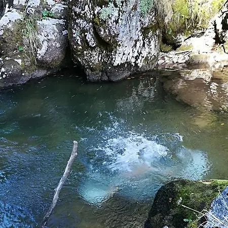 Pensiunea Izbucul Tauz Gasthof *
